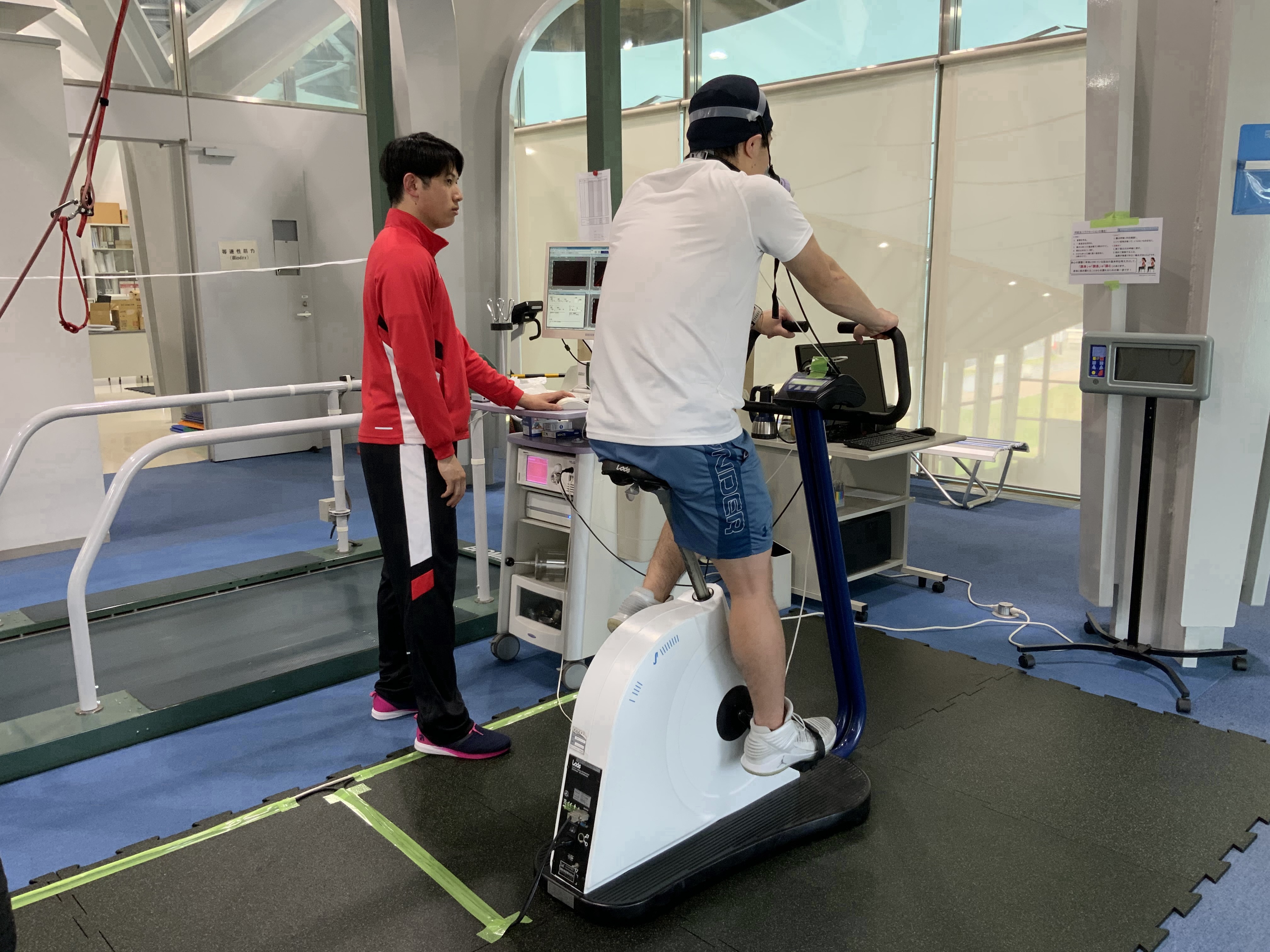 背筋力計　スポーツ用 トレーニング 楽天市場】背筋力計の通販